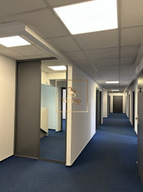 Lokal Wynajem Warszawa Praga-Południe Niekłańska